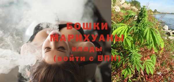 стаф Володарск