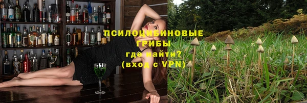 стаф Володарск